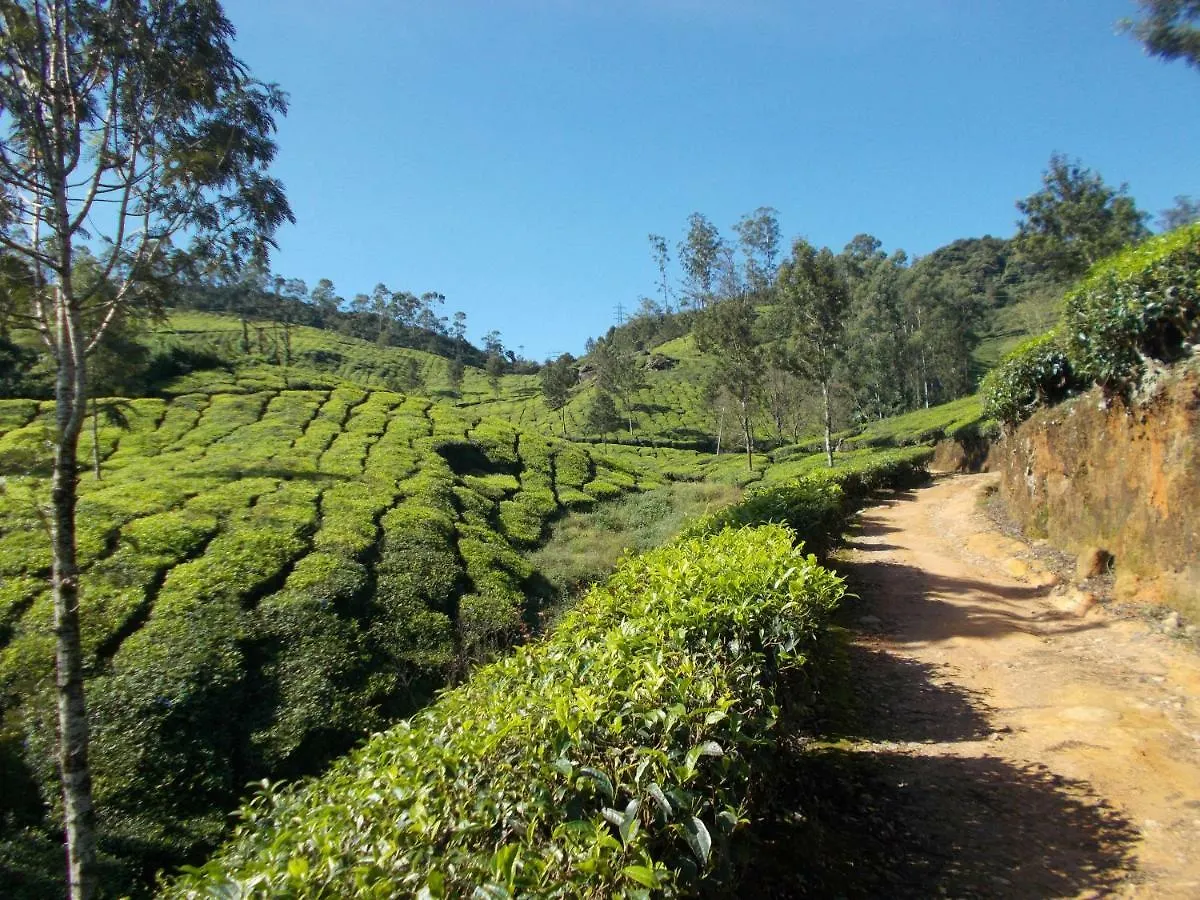 Greenview Holiday Inn Munnar